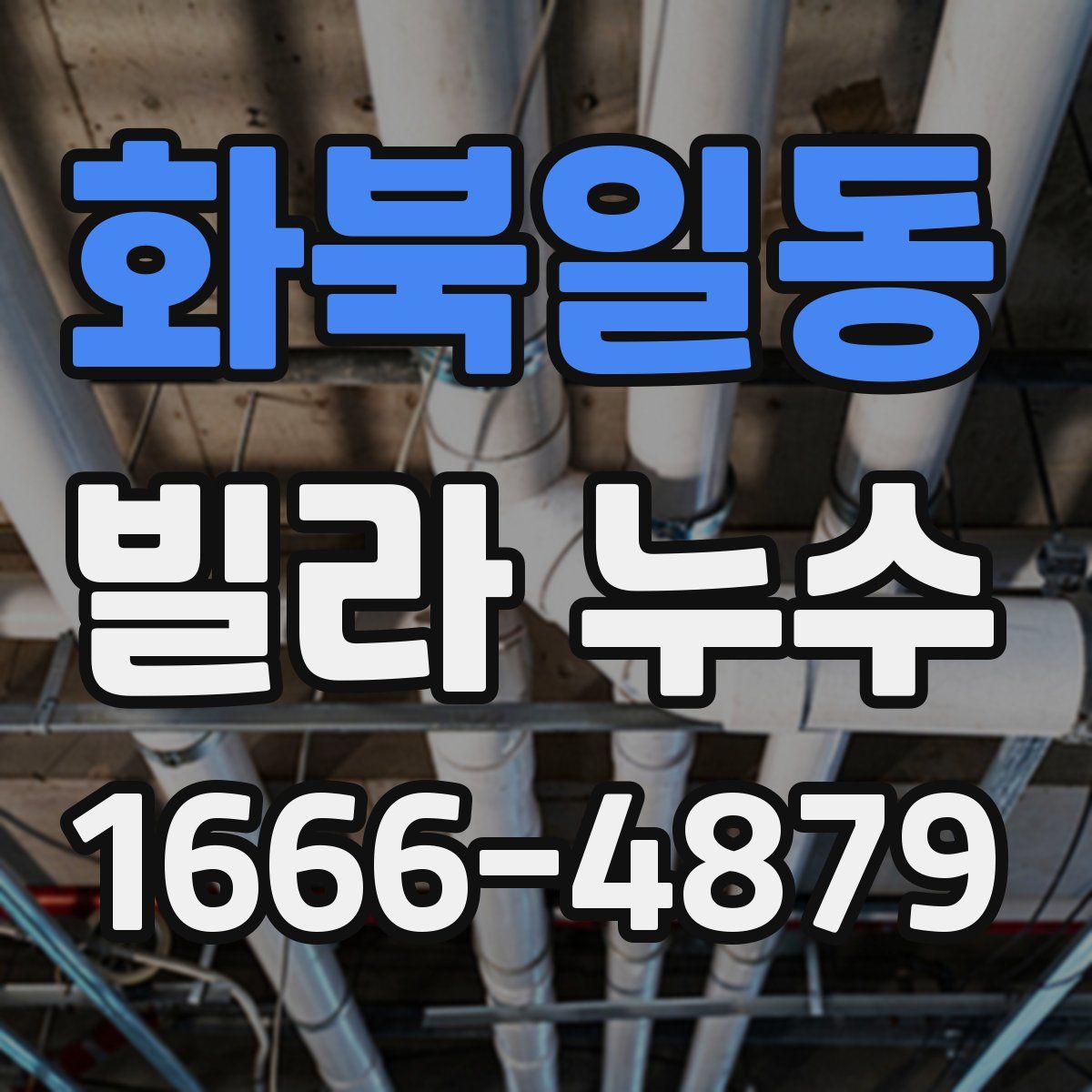 화북일동 빌라 누수