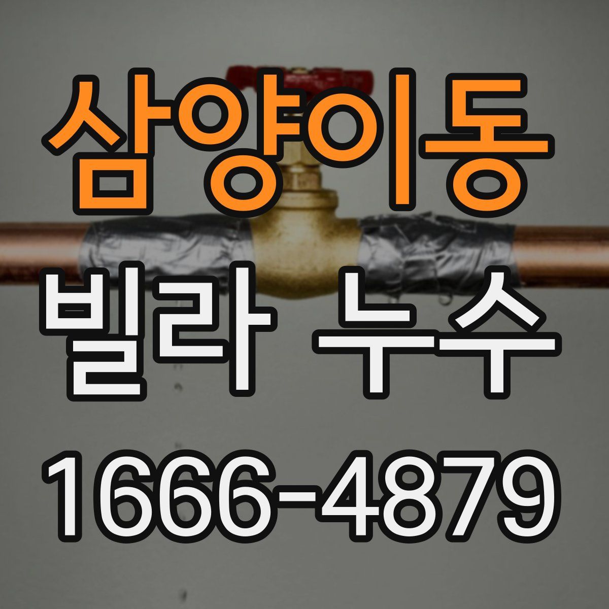 삼양이동 빌라 누수