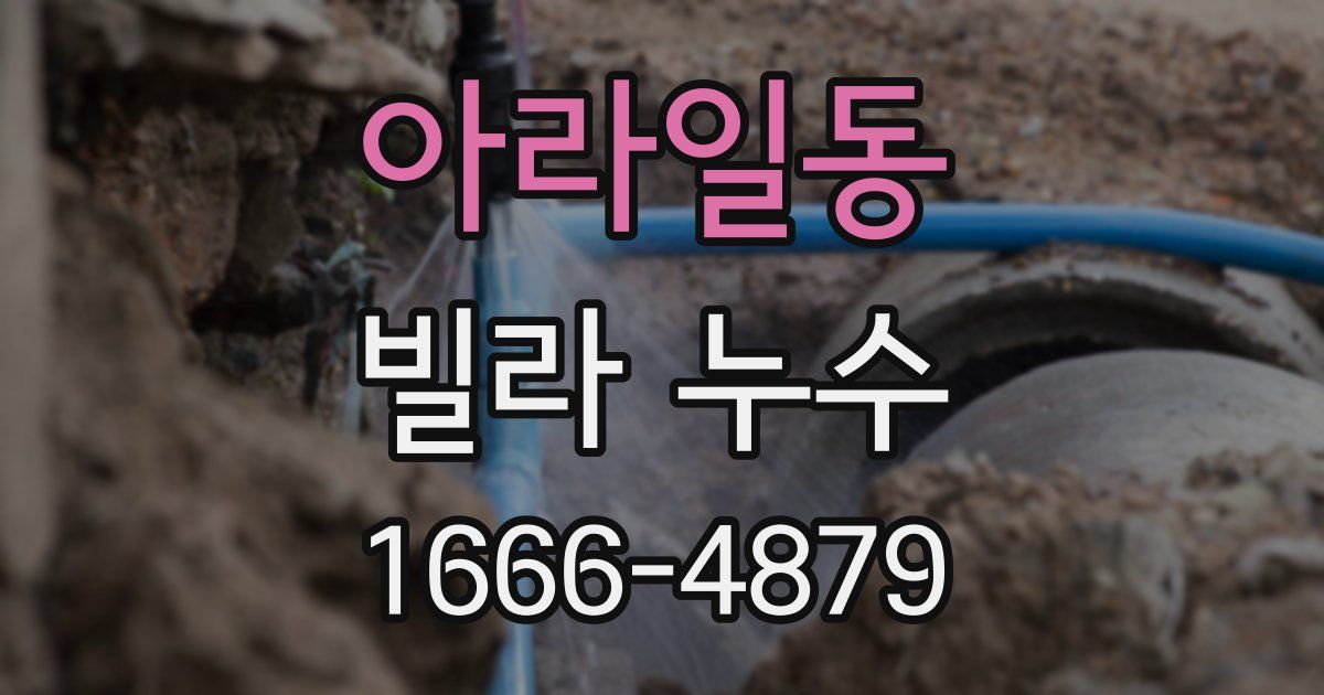 아라일동 빌라 누수