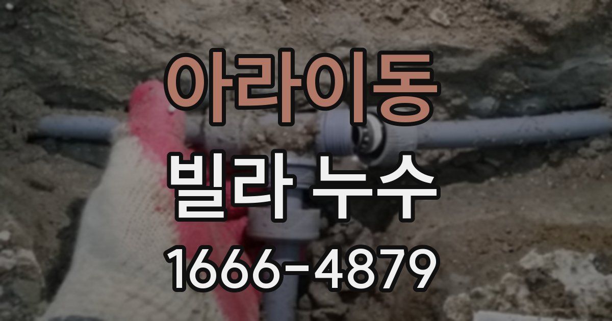 아라이동 빌라 누수