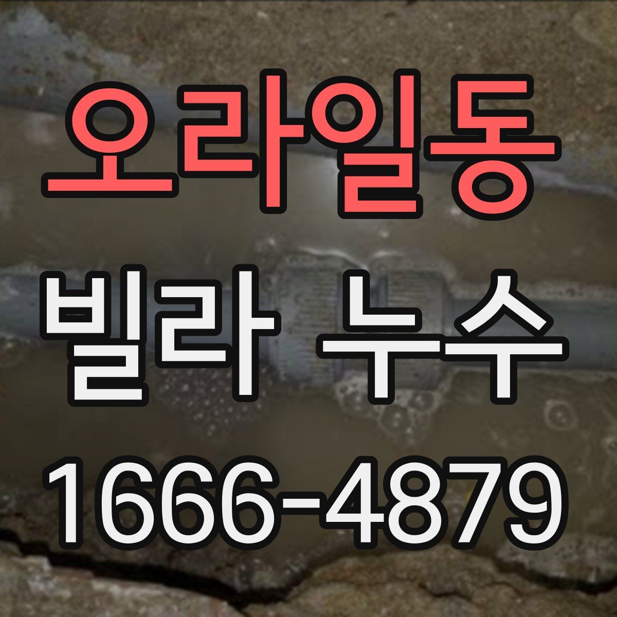 오라일동 빌라 누수