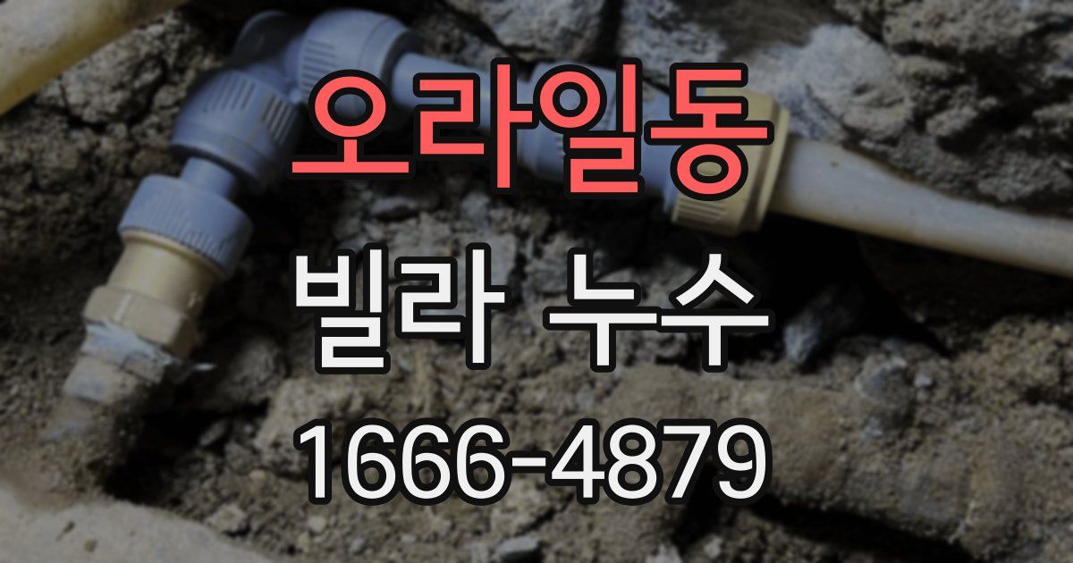오라일동 빌라 누수