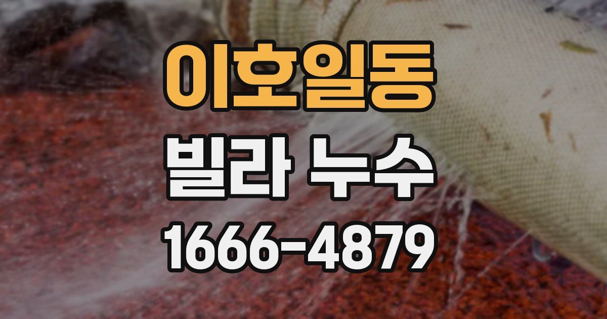 이호일동 빌라 누수