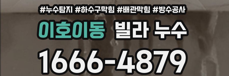 이호이동 빌라 누수