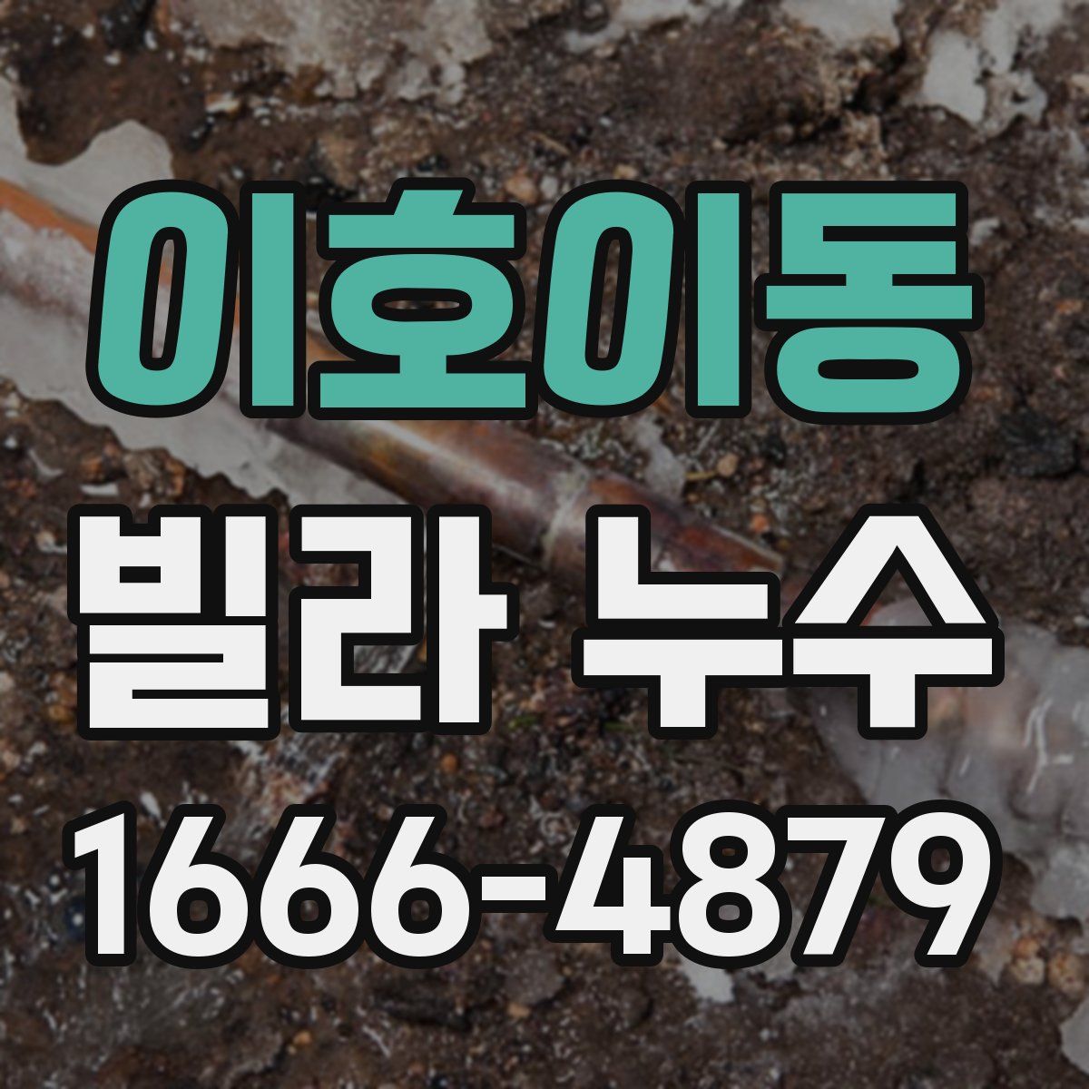 이호이동 빌라 누수