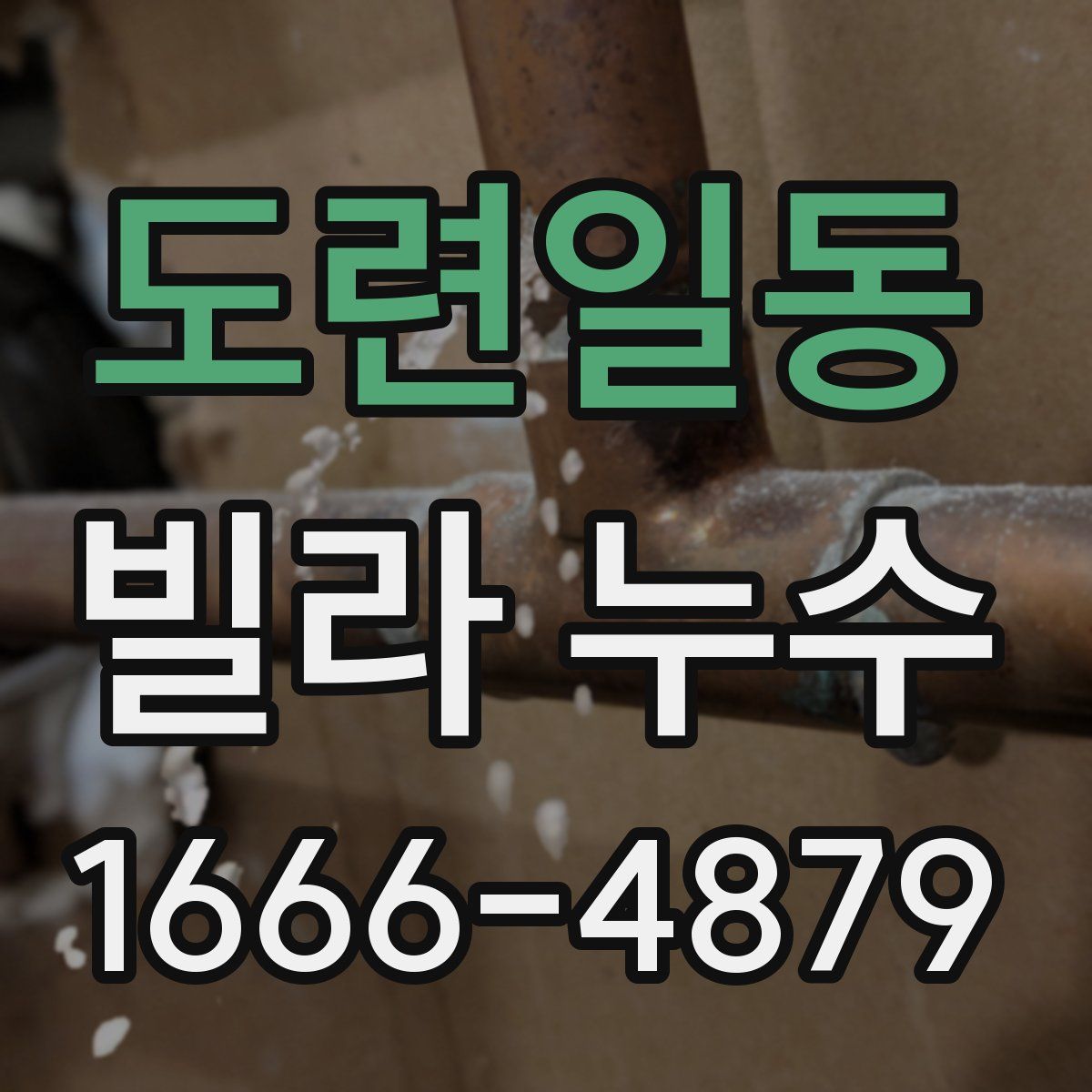 도련일동 빌라 누수