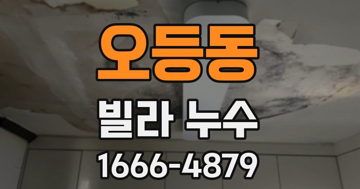 오등동 빌라 누수