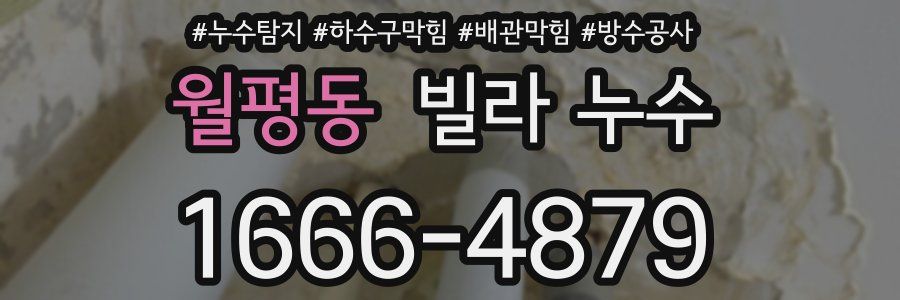 월평동 빌라 누수
