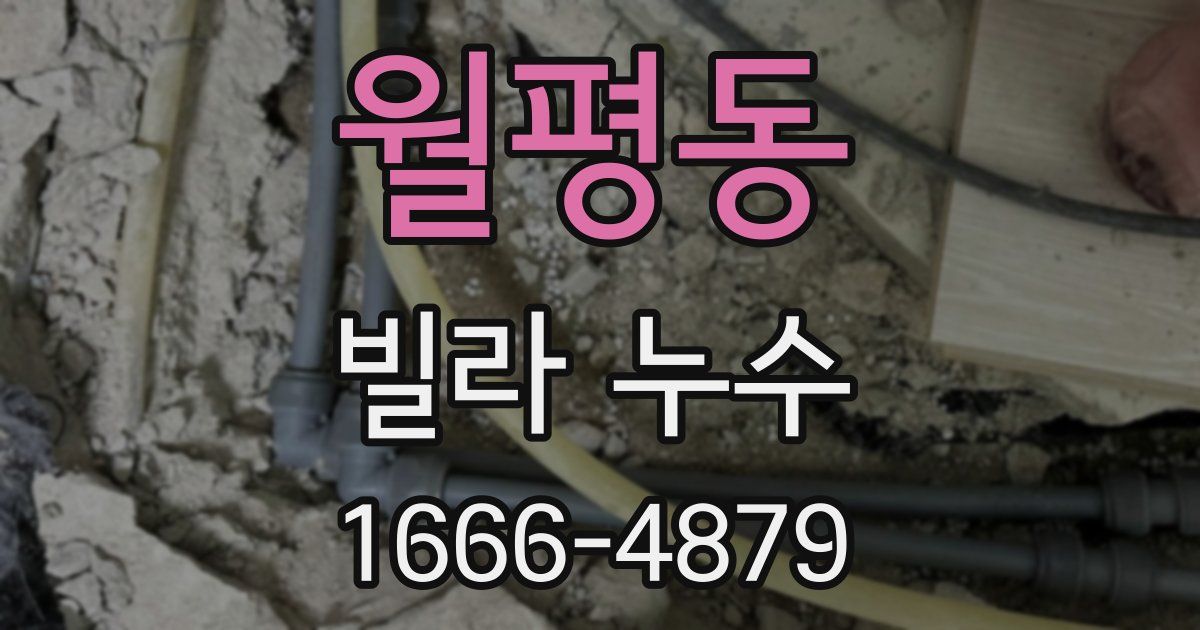 월평동 빌라 누수