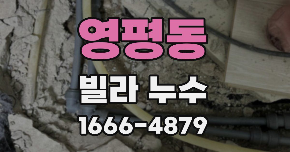 영평동 빌라 누수