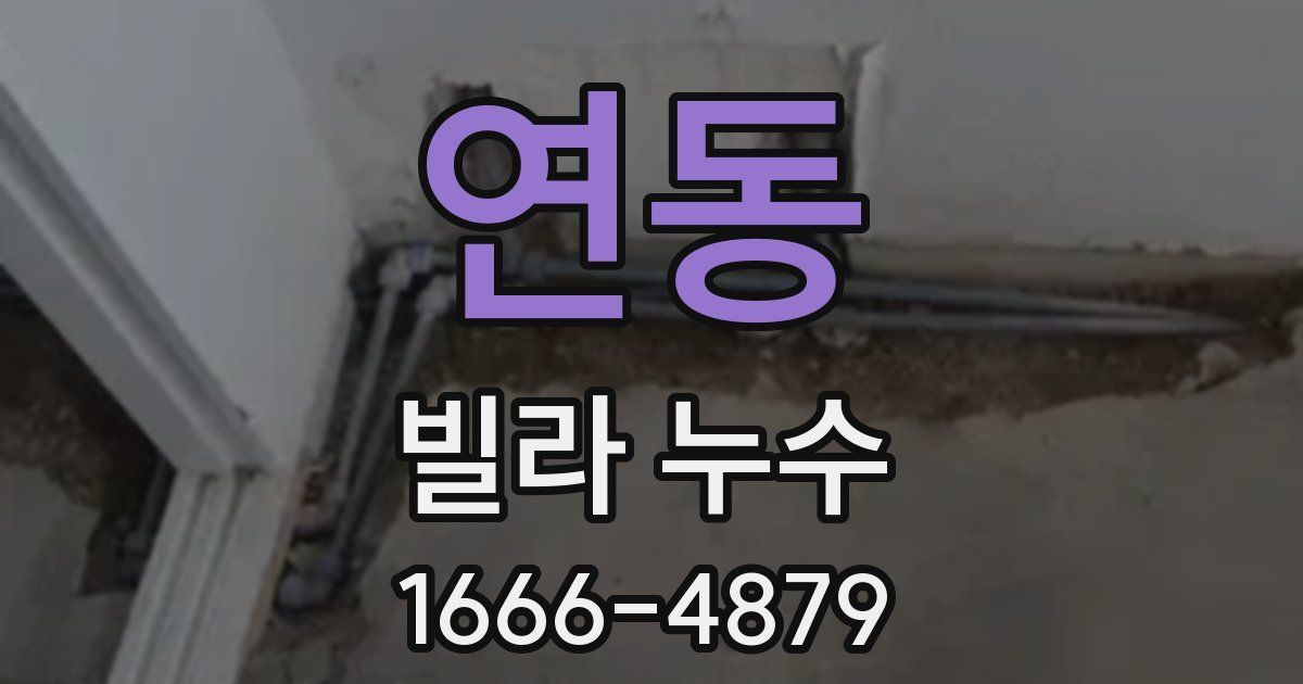 연동 빌라 누수