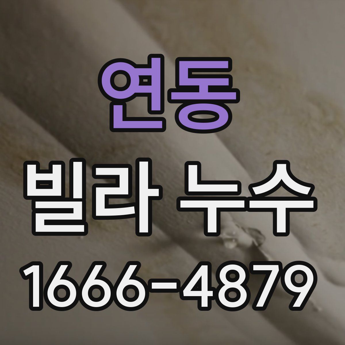 연동 빌라 누수
