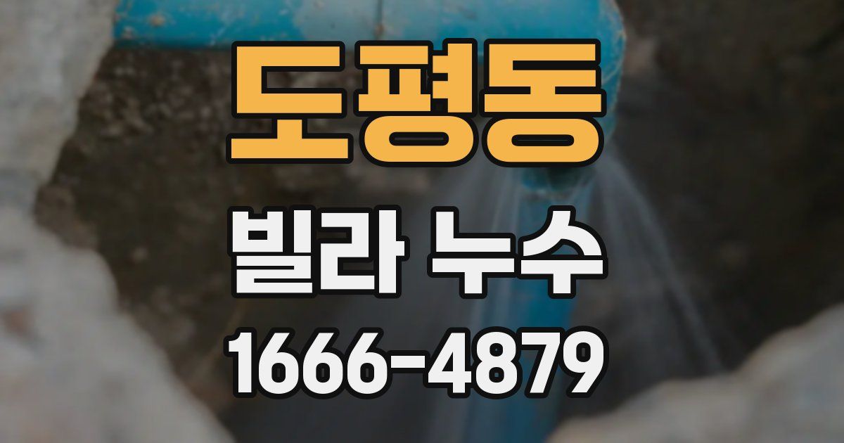 도평동 빌라 누수