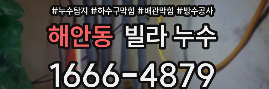 해안동 빌라 누수
