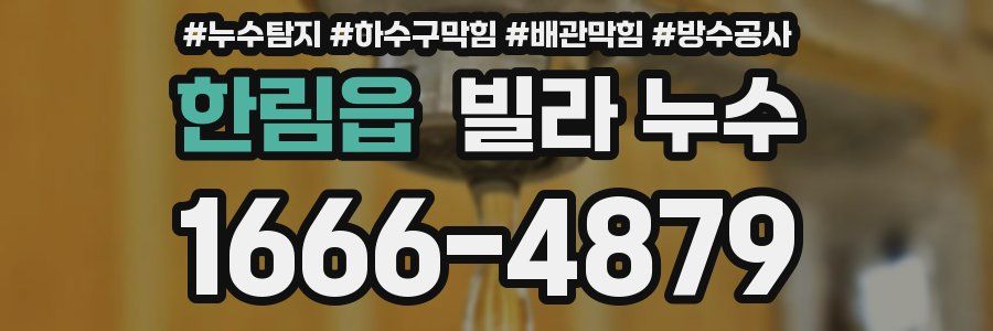 한림읍 빌라 누수