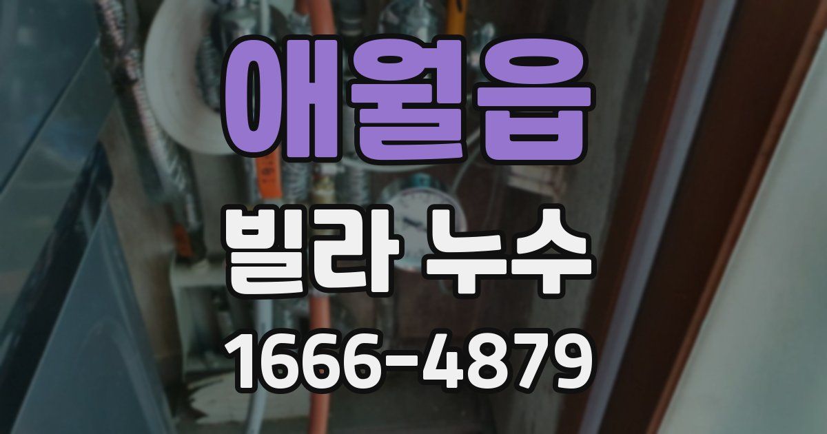 애월읍 빌라 누수