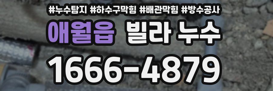 애월읍 빌라 누수
