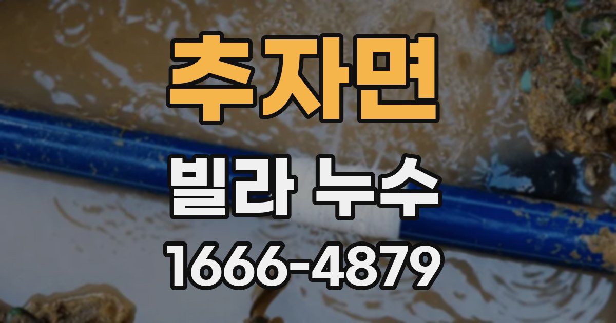 추자면 빌라 누수
