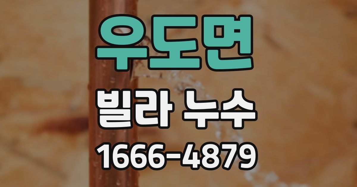 우도면 빌라 누수