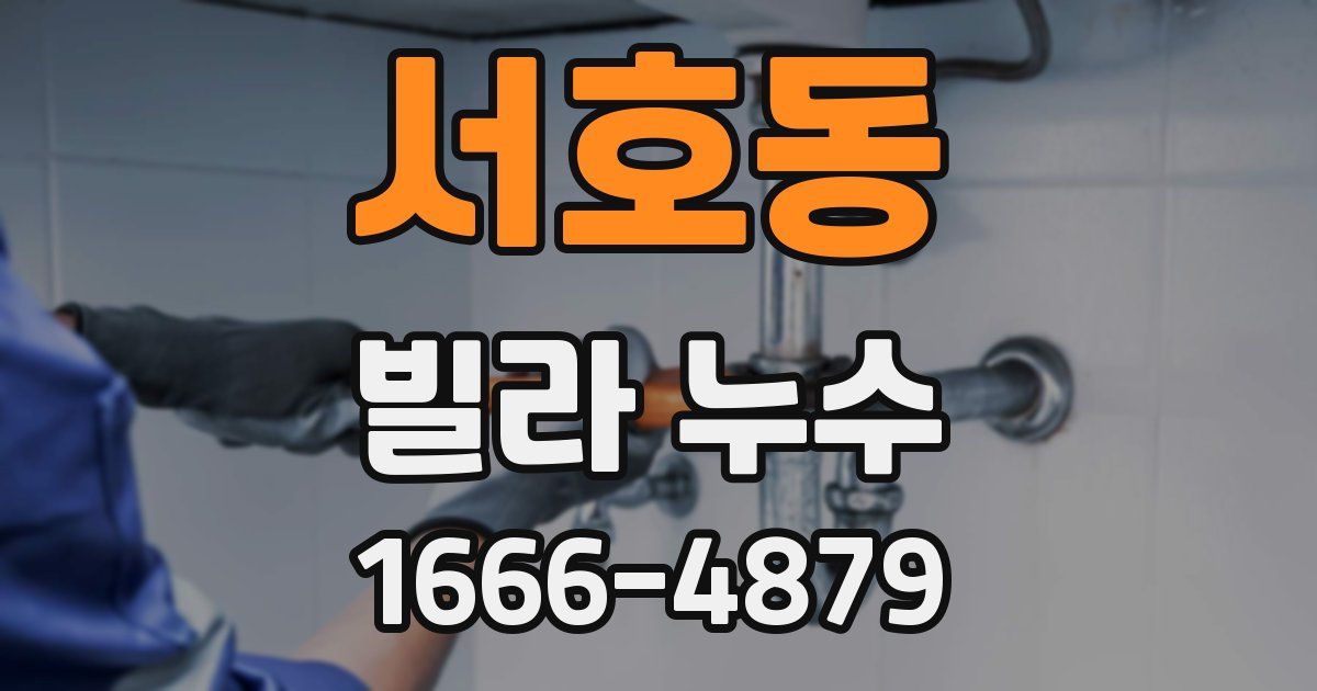 서호동 빌라 누수