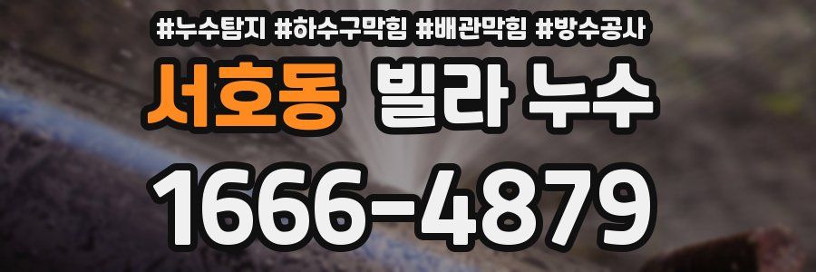 서호동 빌라 누수