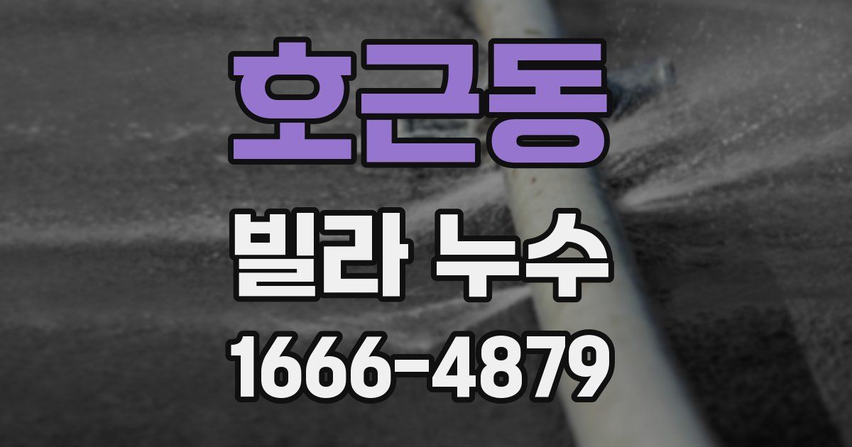 호근동 빌라 누수