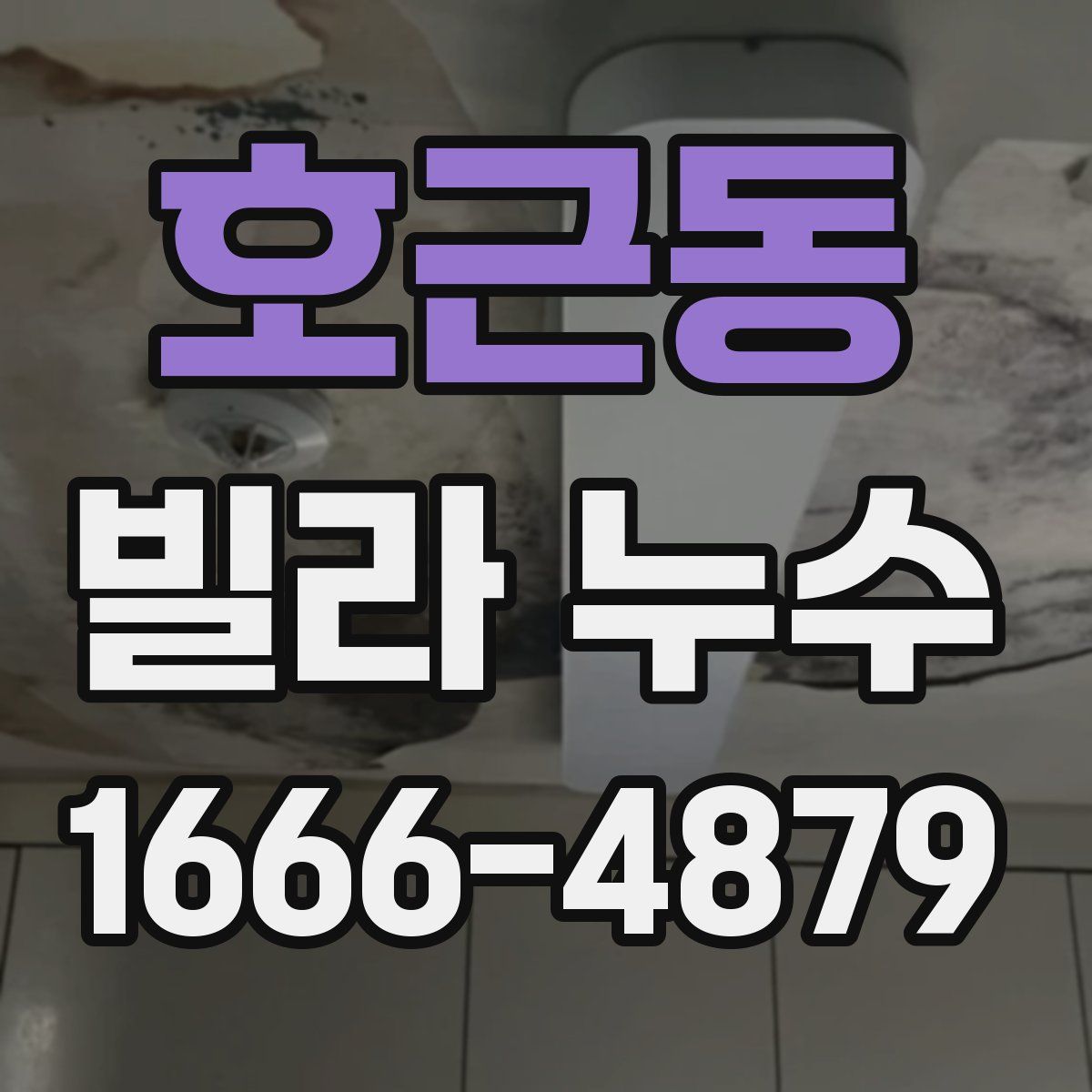 호근동 빌라 누수