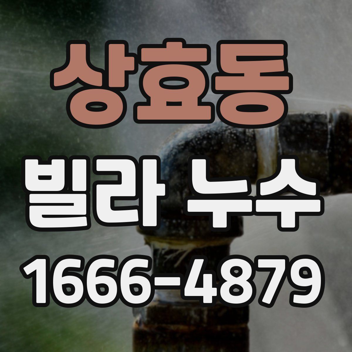 상효동 빌라 누수