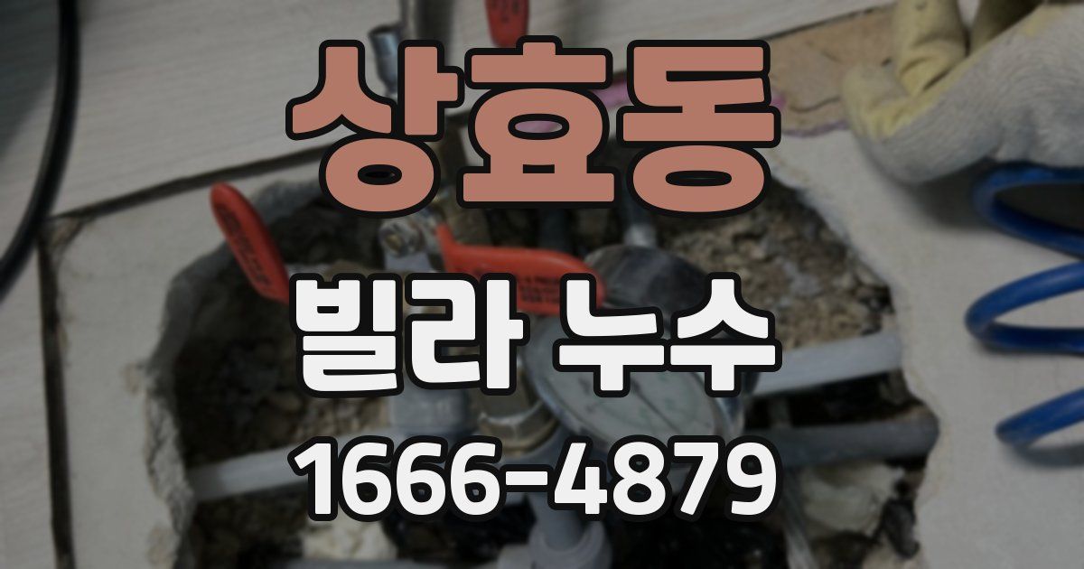 상효동 빌라 누수