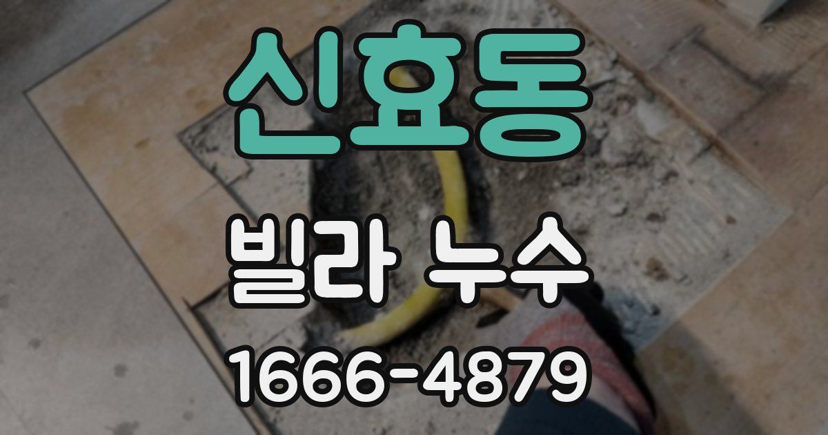 신효동 빌라 누수