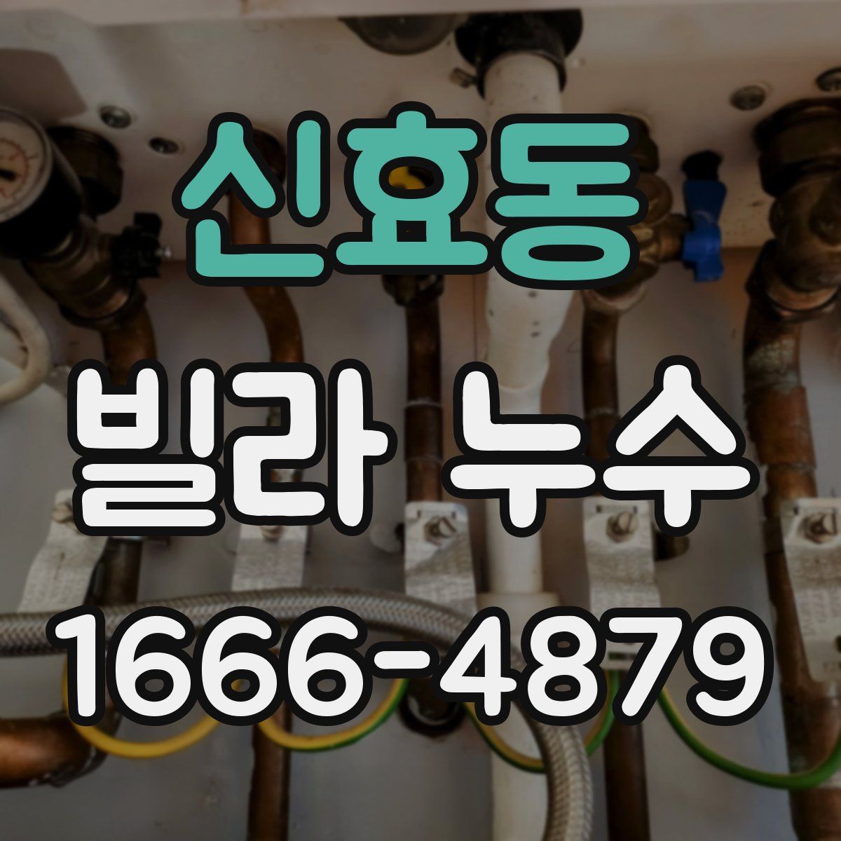신효동 빌라 누수