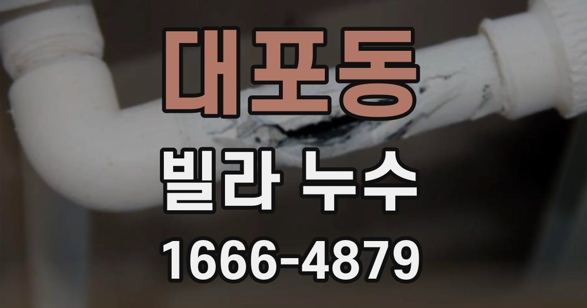 대포동 빌라 누수