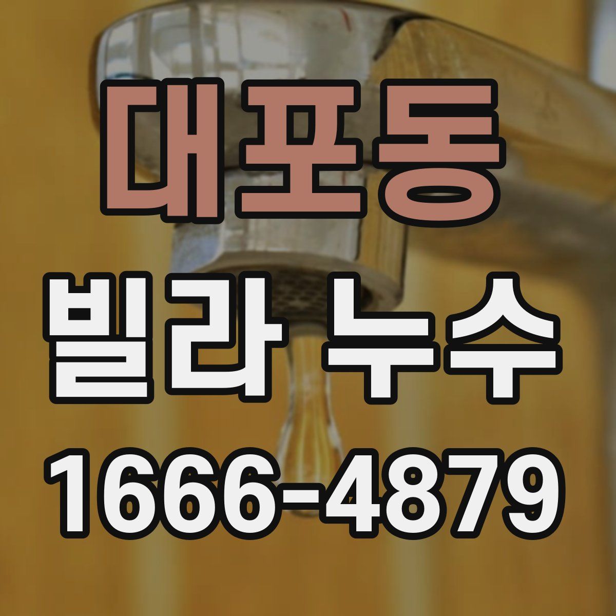 대포동 빌라 누수