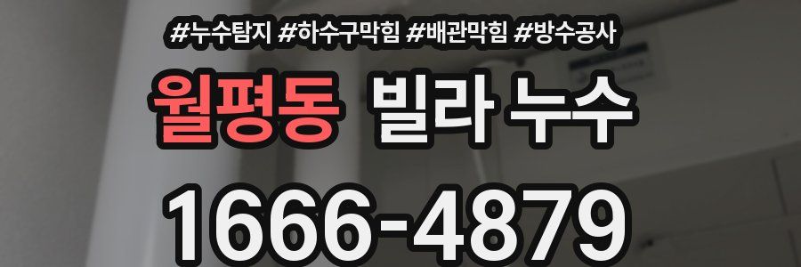 월평동 빌라 누수