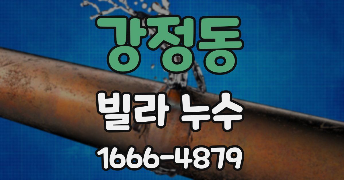 강정동 빌라 누수