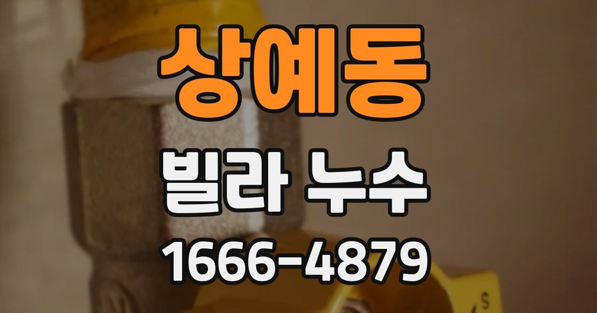 상예동 빌라 누수