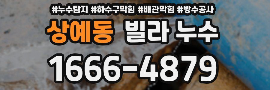 상예동 빌라 누수