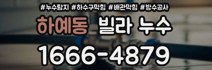 하예동 빌라 누수