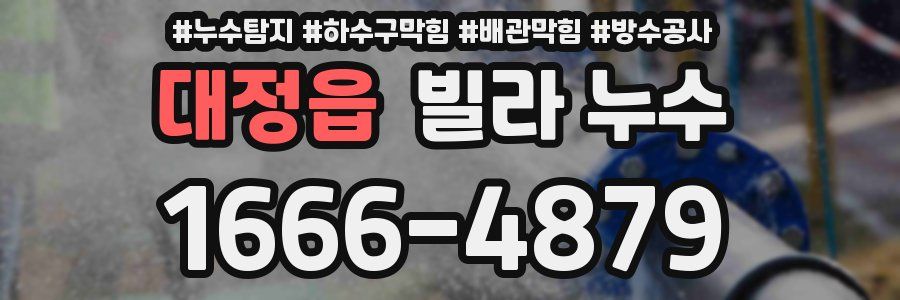 대정읍 빌라 누수