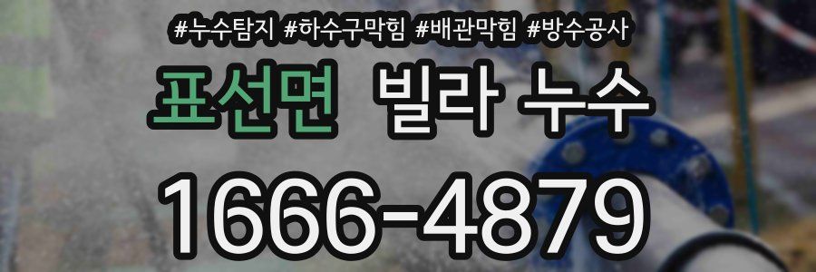 표선면 빌라 누수
