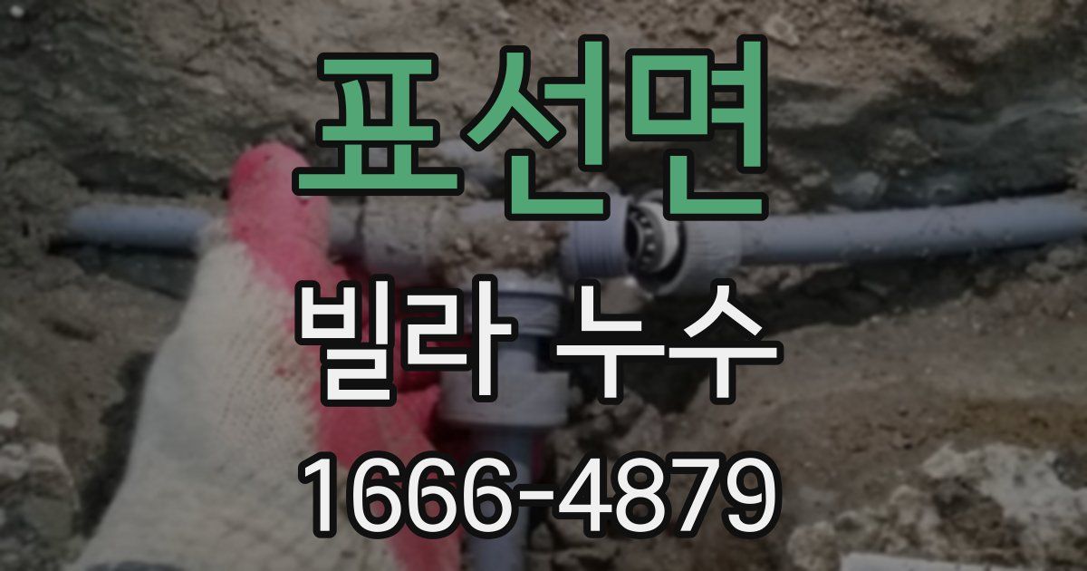 표선면 빌라 누수