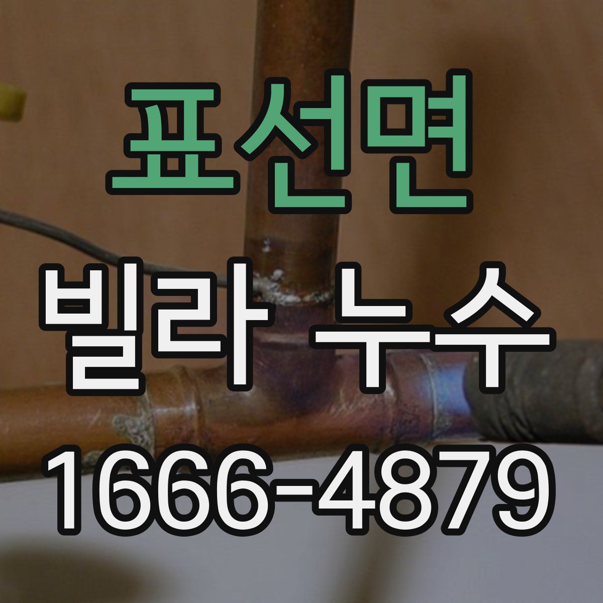 표선면 빌라 누수