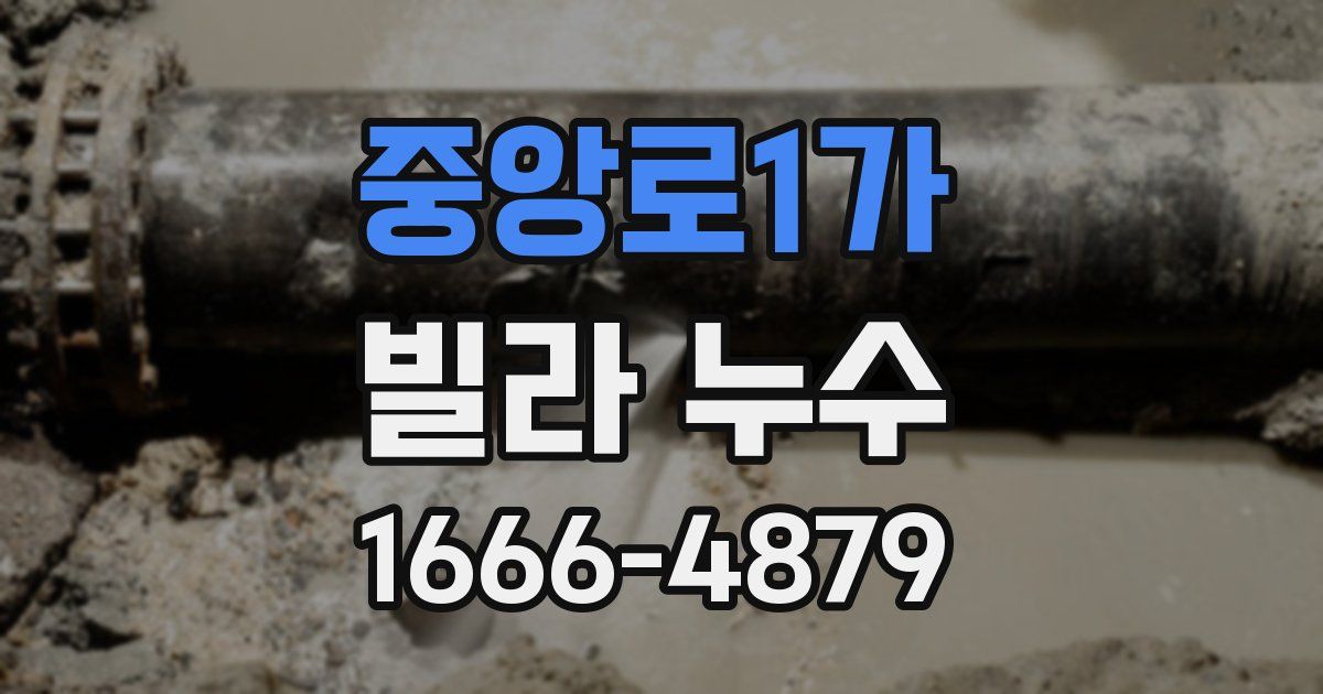 중앙로1가 빌라 누수