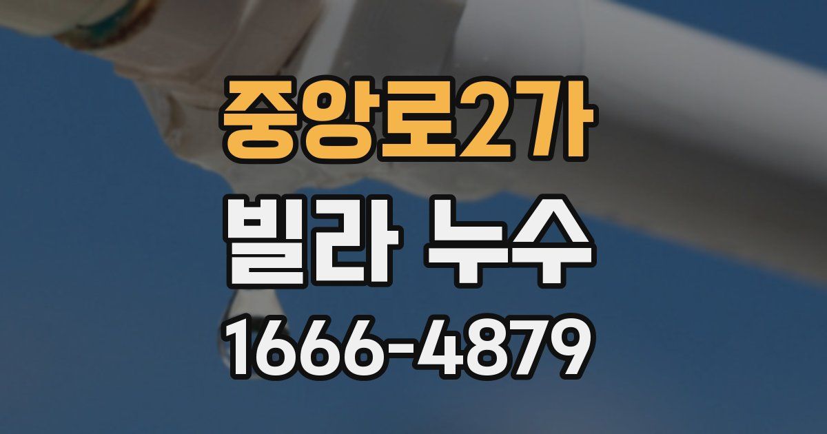 중앙로2가 빌라 누수