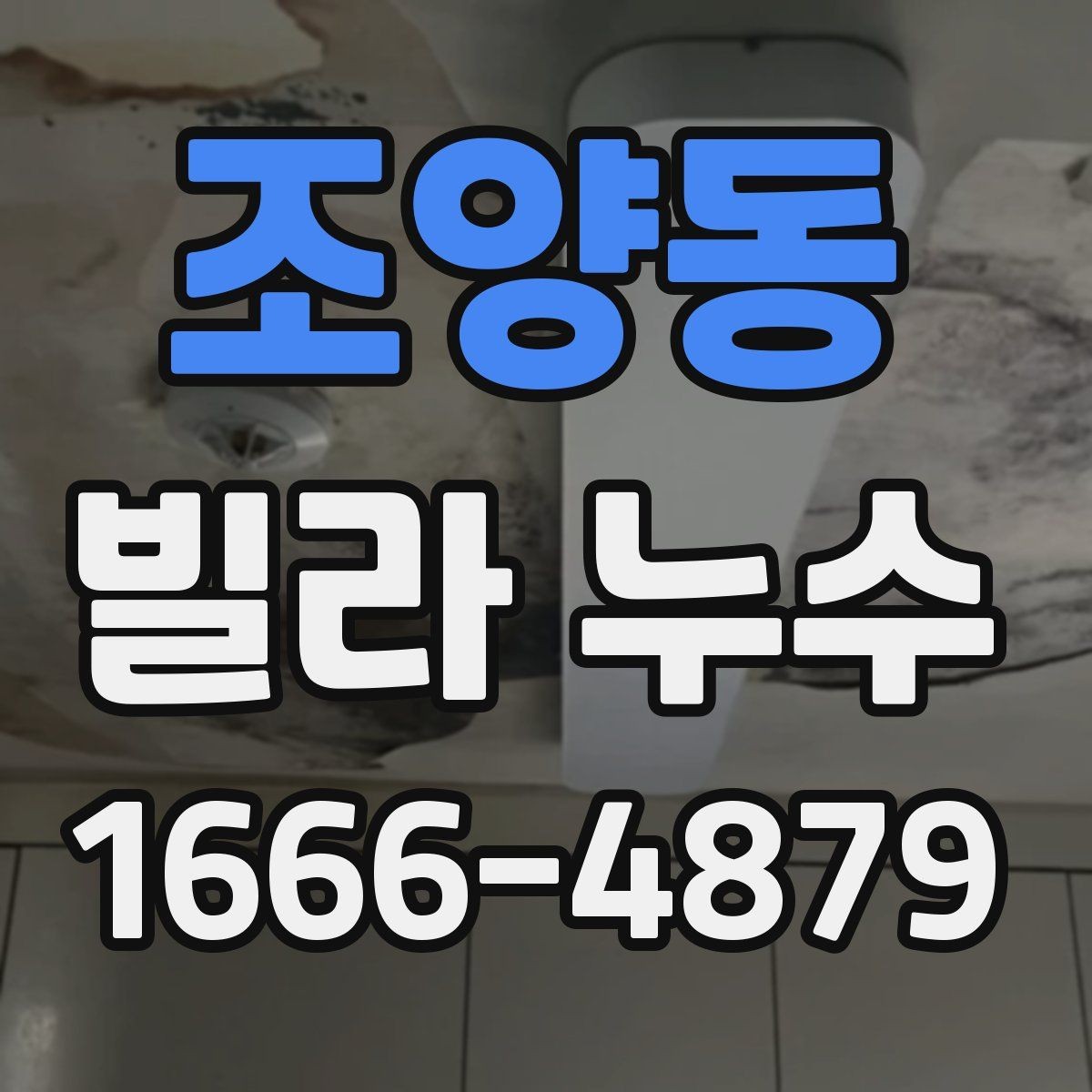 조양동 빌라 누수 확인 시 놓치기 쉬운 부분