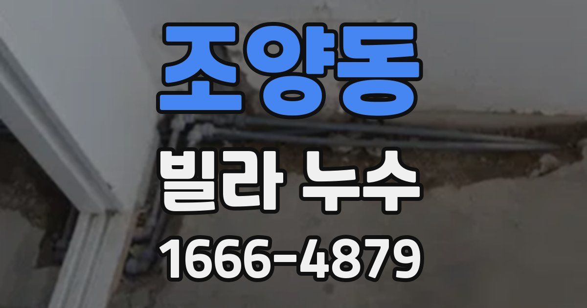 조양동 빌라 누수