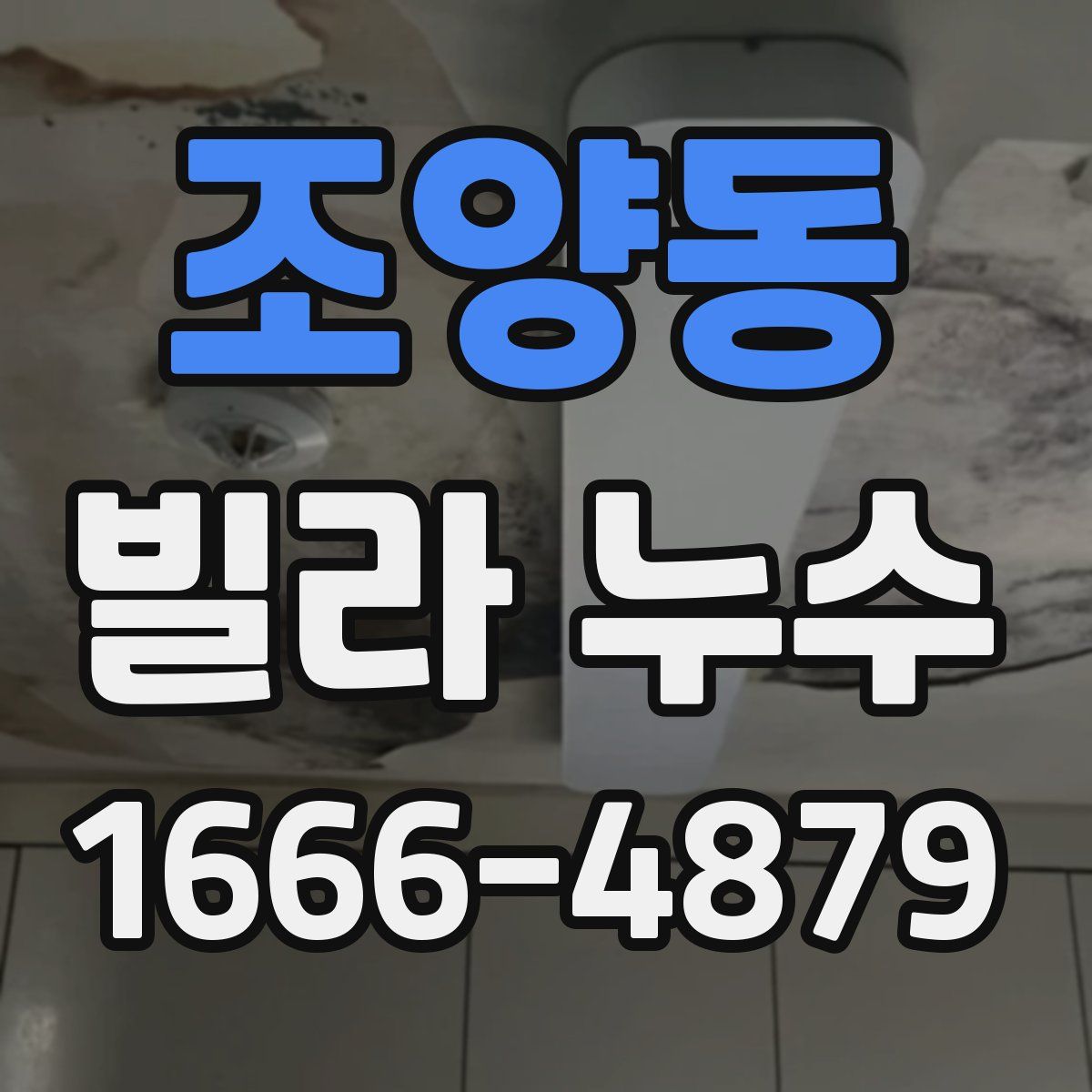 조양동 빌라 누수