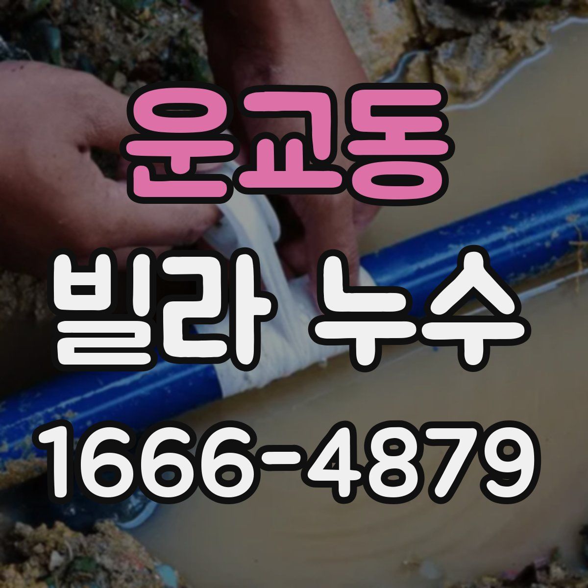 운교동 빌라 누수
