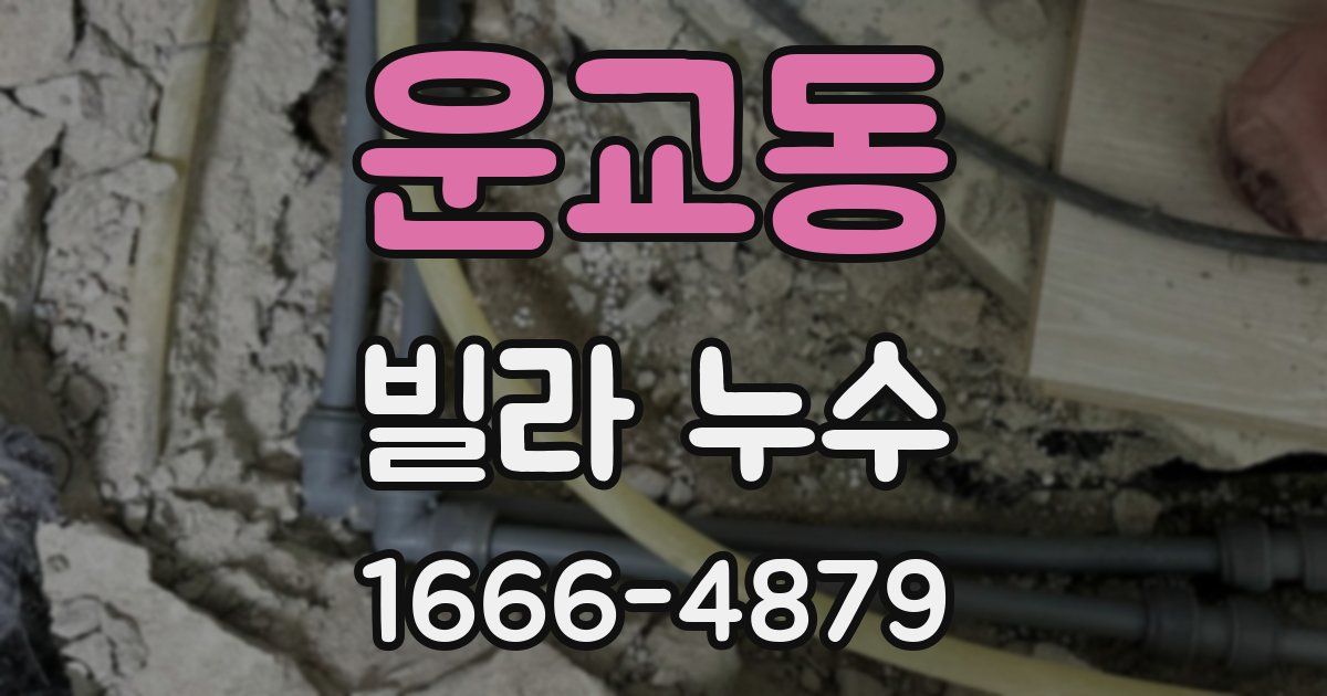 운교동 빌라 누수