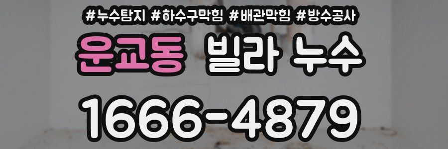운교동 빌라 누수